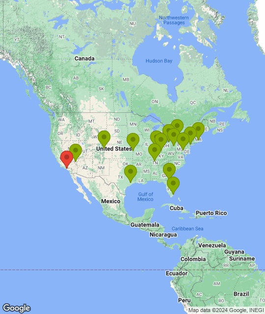 Los Angeles Chargers_league.png